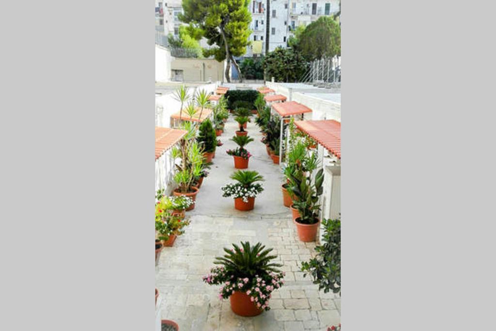 Appartamento Al Cortile Bari Esterno foto